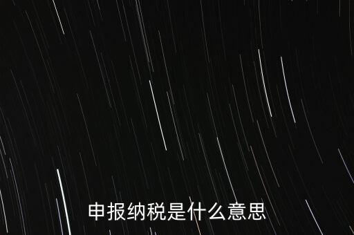 通用申報稅是什么，非稅收入通用申報表是什么稅