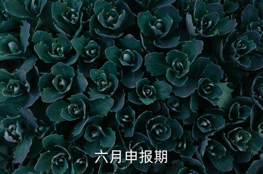 6月申報(bào)期是什么意思，個(gè)人所得稅申報(bào)期是每月15號(hào)嗎