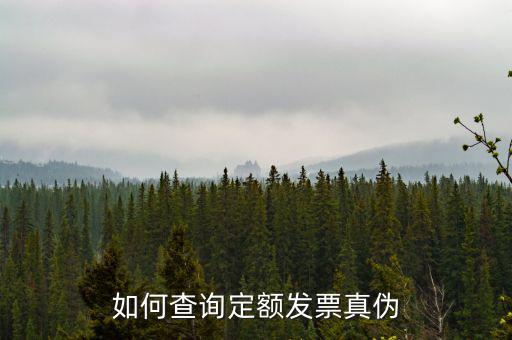 定額發(fā)票查詢的密碼是什么，如何查詢定額發(fā)票真?zhèn)?/></a></span><span id=