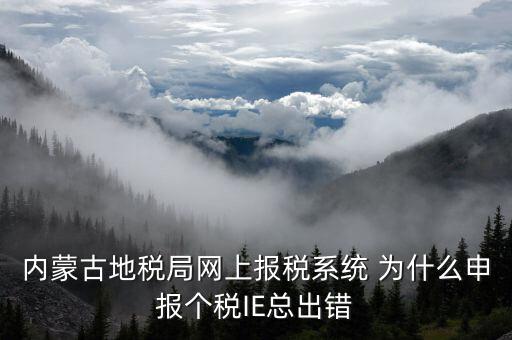 內蒙古地稅局網上報稅系統 為什么申報個稅IE總出錯