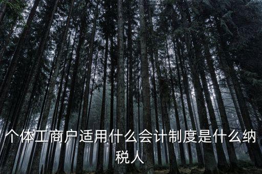 個(gè)體戶屬于什么納稅人，從事縫紉業(yè)務(wù)的個(gè)體戶屬于哪一類納稅人
