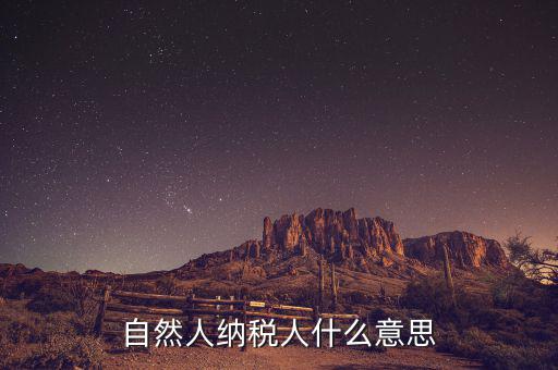 什么是自然人辦稅，自然人納稅人什么意思