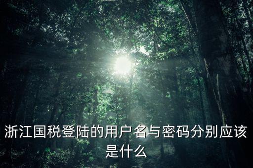 浙江國稅密碼是什么意思，浙江地稅開票軟件中數(shù)據(jù)庫密碼是多少