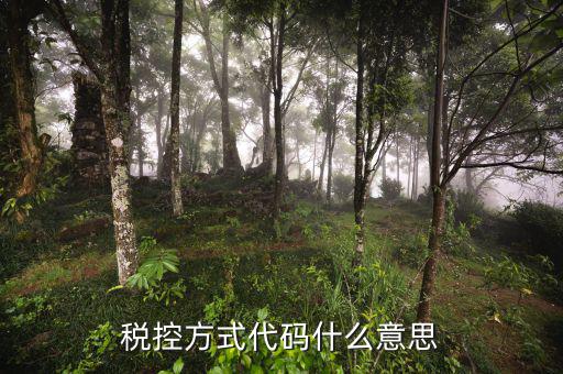 什么叫稅控碼，稅控方式代碼什么意思