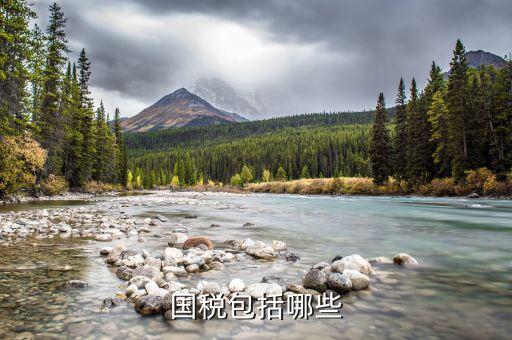 什么屬于國稅，什么樣的經(jīng)營(yíng)范圍屬于國稅