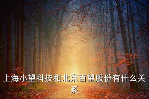 百望跟百旺有什么關(guān)系，上海小望科技和北京百望股份有什么關(guān)系