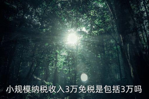3萬免稅是指什么，小規(guī)模納稅收入3萬免稅是包括3萬嗎