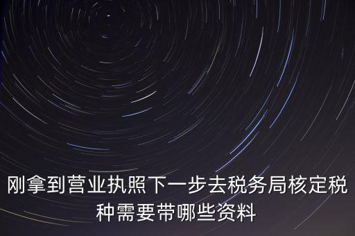 湖北國稅增加稅種需要帶什么資料，企業(yè)報(bào)稅種需要帶什么資料