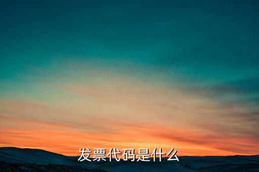 開(kāi)發(fā)票六位代碼是什么，增值稅專用發(fā)票6位開(kāi)票代碼是什么意思