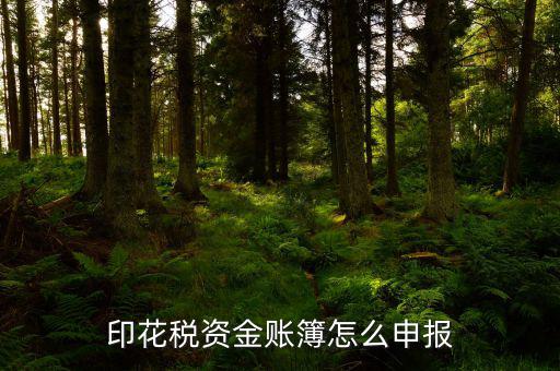賬簿印花稅申報(bào)選什么，賬簿印花稅如何申報(bào)