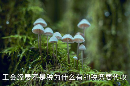 工會經(jīng)費不是稅為什么有的稅務要代收