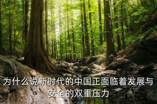 中國的雙重負擔是什么，為什么說新時代的中國正面臨著發(fā)展與安全的雙重壓力