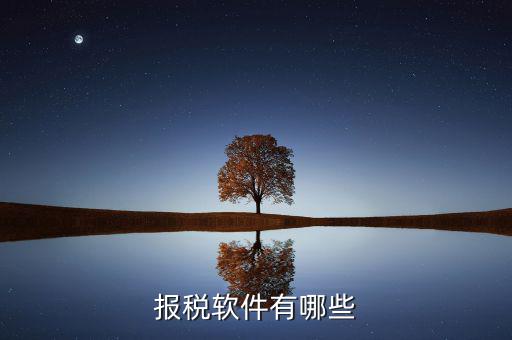 蘇州報稅用什么軟件，蘇州工業(yè)園區(qū)使用什么電子報稅系統(tǒng)