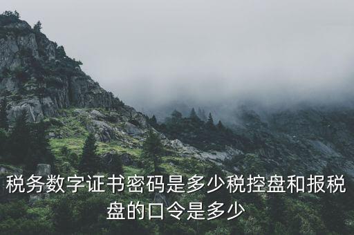 國(guó)稅申報(bào)ca默認(rèn)密碼是什么意思，國(guó)家稅務(wù)總局網(wǎng)上辦稅服務(wù)廳初始密碼是什么