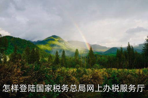 稅務(wù)局登錄什么瀏覽器可以，怎樣登陸國(guó)家稅務(wù)總局網(wǎng)上辦稅服務(wù)廳