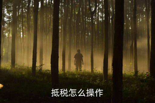 辦理抵稅流程是什么，電子稅務(wù)局退抵稅流程