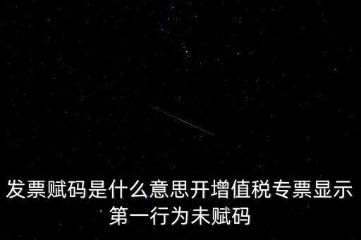 發(fā)票賦碼是什么意思開(kāi)增值稅專(zhuān)票顯示第一行為未賦碼