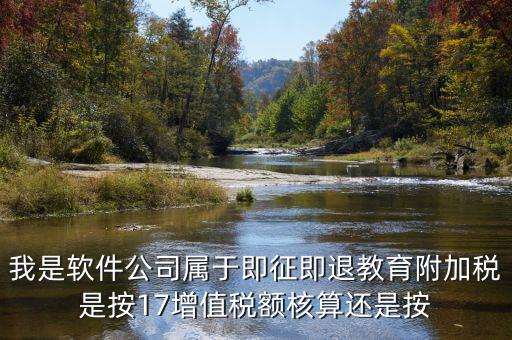 軟件公司交什么稅，軟件企業(yè)增值稅即征即退指的是什么