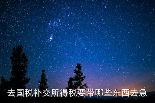 去國稅補(bǔ)繳增值稅要帶什么，增值稅零申報(bào)逾期申報(bào)了48天 到國稅補(bǔ)申報(bào)需要準(zhǔn)備什么資料 帶什么