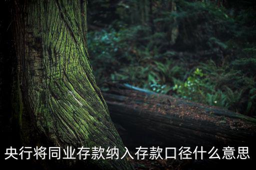 業(yè)務口徑是什么意思，銀行說的十四行口徑是什么意思