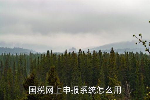 國稅網(wǎng)絡(luò)預(yù)申請系統(tǒng)是什么，怎么安裝國稅網(wǎng)上申報系統(tǒng)