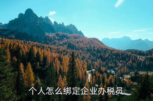 辦稅人員該綁定什么人，個(gè)人怎么綁定企業(yè)辦稅員