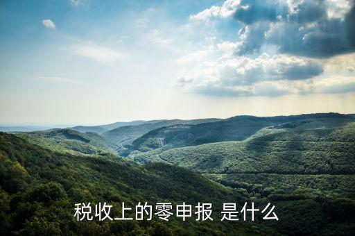 什么叫免于零申報(bào)，小規(guī)模納稅人 要增值稅納稅申報(bào) 但是每次都為零申報(bào)