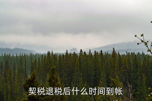 退稅款什么時候到賬，出口退稅款一般多久到賬