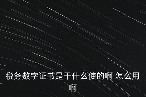 國稅ca數(shù)字證書是什么，稅務數(shù)字證書是干什么使的啊 怎么用啊