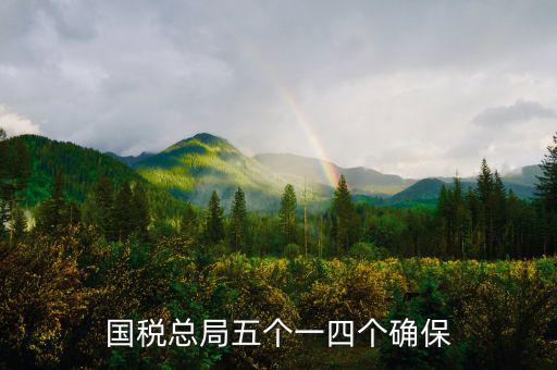 稅務(wù)局五個(gè)一是什么意思，國(guó)稅總局五個(gè)一四個(gè)確保