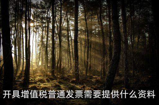 開(kāi)增值稅提供什么資料，開(kāi)具增值稅普通發(fā)票需要提供什么資料