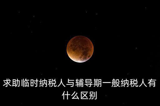 什么是臨時納稅人，臨時一般納稅人是什么意思