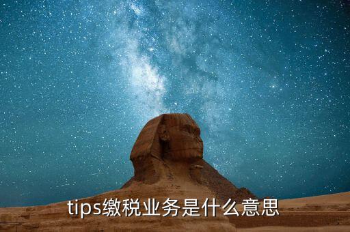 地稅tips繳款是什么意思，tips扣稅是什么意思