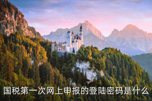 國稅網(wǎng)報(bào)口令是什么，國稅第一次網(wǎng)上申報(bào)的登陸密碼是什么