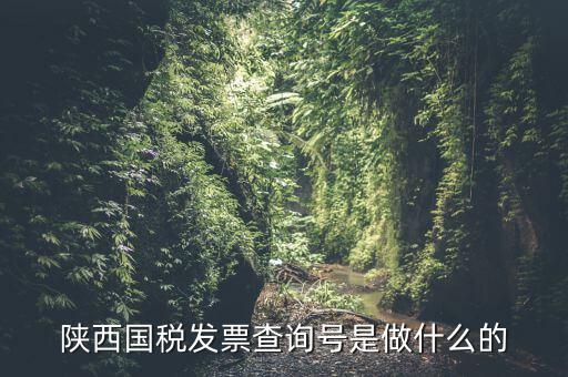 發(fā)票查詢號(hào)是什么，發(fā)票查詢碼是什么 陜西地稅查詢輸入了發(fā)票代碼發(fā)票號(hào)碼后