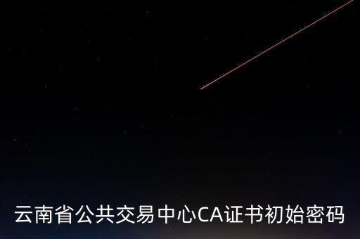 ca原始密碼登錄是什么，蘇州投標(biāo)ca初始密碼