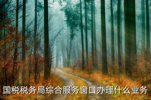 稅務(wù)局大廳窗口做什么，辦稅大廳都做些什么事
