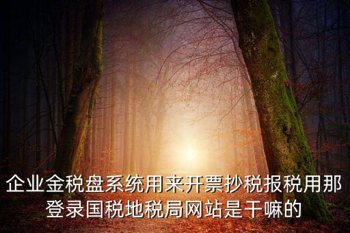 企業(yè)金稅盤(pán)系統(tǒng)用來(lái)開(kāi)票抄稅報(bào)稅用那登錄國(guó)稅地稅局網(wǎng)站是干嘛的