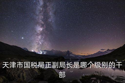 國(guó)稅局副局長(zhǎng)是什么級(jí)別，天津市國(guó)稅局正副局長(zhǎng)是哪個(gè)級(jí)別的干部