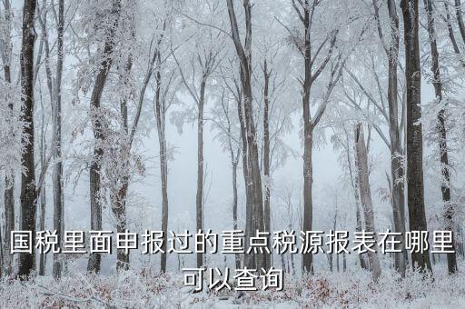重點稅源預(yù)測網(wǎng)址是什么，國稅里面申報過的重點稅源報表在哪里可以查詢