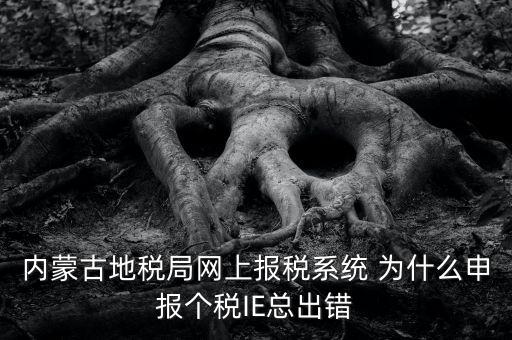 為什么內(nèi)蒙古國地稅網(wǎng)進不去，windows7內(nèi)蒙古地稅報稅系統(tǒng)顯示無法顯示該網(wǎng)頁