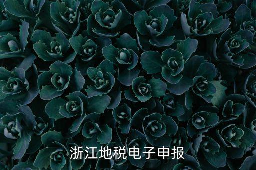 浙江地稅申報(bào)的是什么，浙江地稅怎么申報(bào)