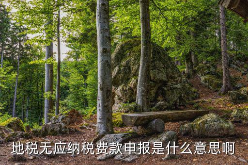 地稅無稅申報包括什么，地稅申報表無稅申報是什么意思我這個月要0申報是點擊