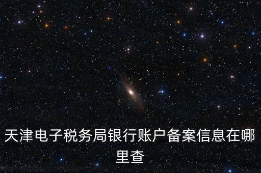 天津電子稅務(wù)局銀行賬戶(hù)備案信息在哪里查