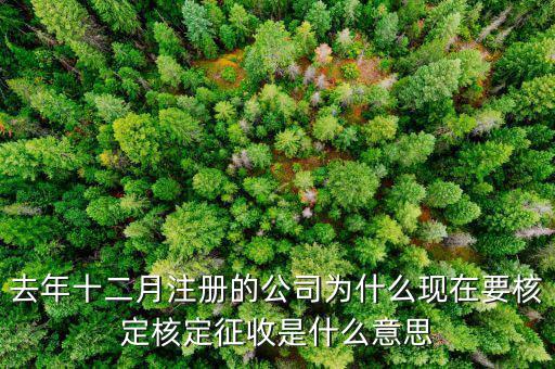 為什么核定征收收據(jù)，查賬征收為什么會轉(zhuǎn)為核定征收