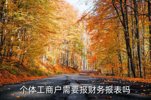 個體戶都需要申報什么表，個體工商戶需要報財務報表嗎