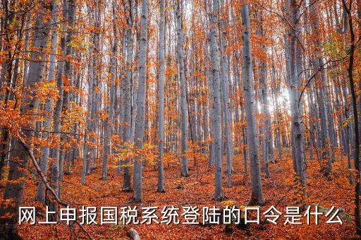 國稅網(wǎng)報(bào)口令是什么意思，網(wǎng)上申報(bào)國稅系統(tǒng)登陸的口令是什么