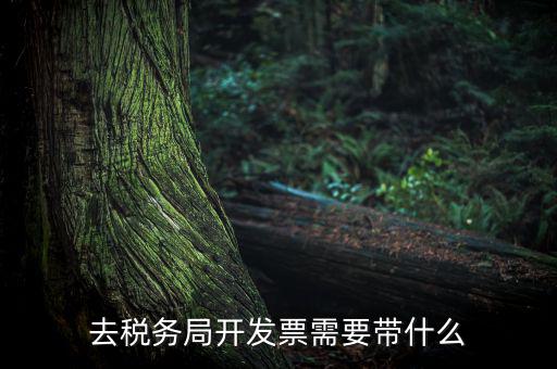 紹興市國稅購增值稅發(fā)票需要帶什么，到稅務(wù)局開增值稅專用發(fā)票帶什么