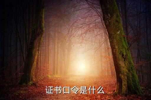 新稅盤證書口令是什么意思，金稅盤口令有什么用