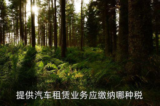 個人出租汽車給公司交什么稅，個人車輛租給公司個稅怎么交